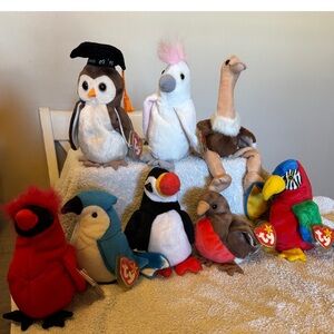 Ty Beanie Babies Colorful Bird Plush Set